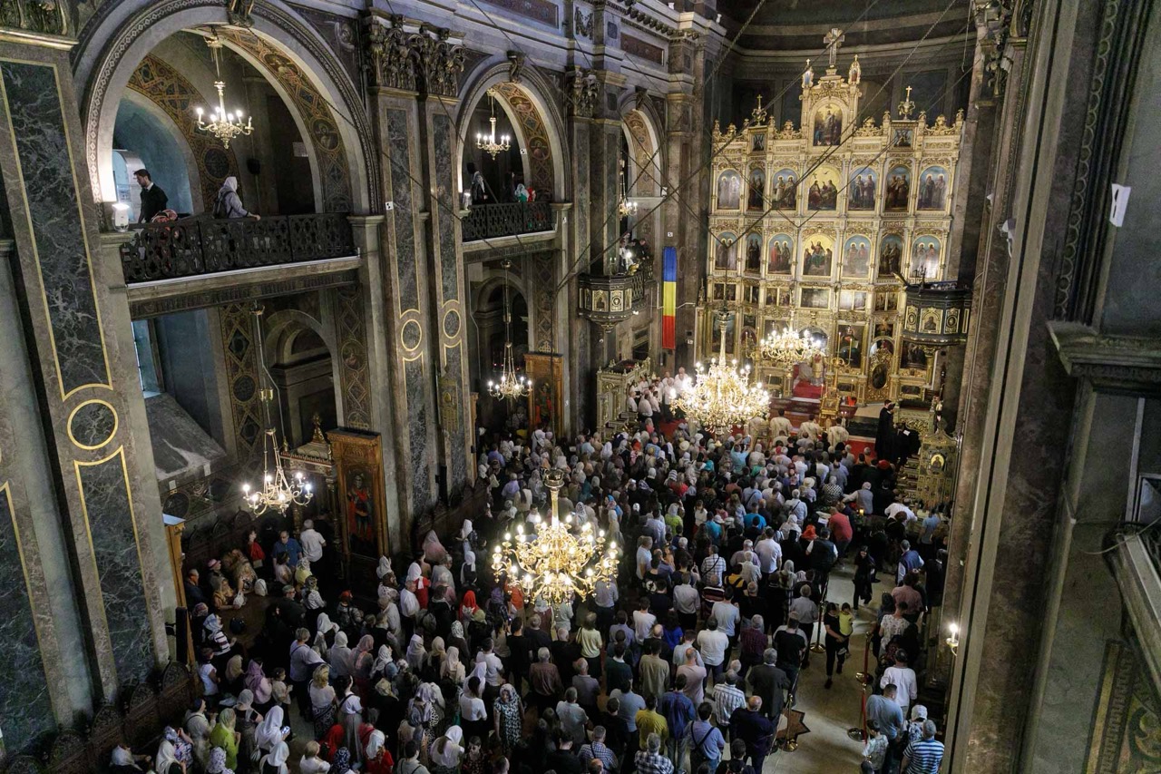 231 iasi